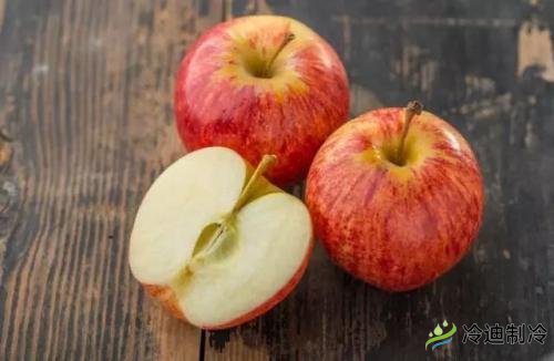 蘋果冷庫儲藏特點，保鮮冷庫造價及影響因素(圖1)