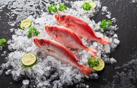 海鮮在冷庫中儲存的方式特點？(圖1)