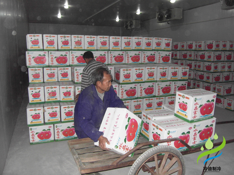 安裝一個(gè)蘋果保鮮冷庫大概多少錢？