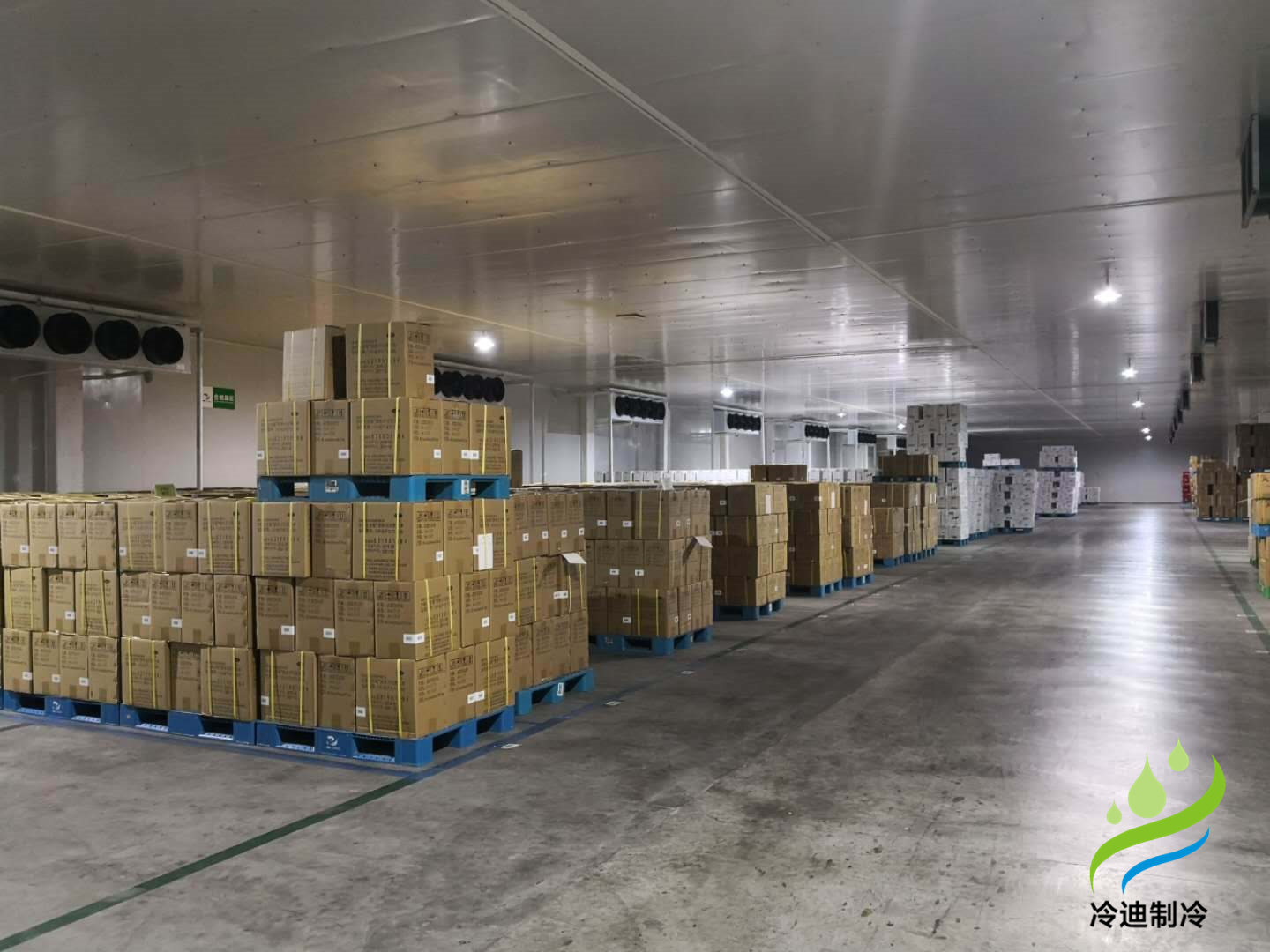 安裝一個100平方米茶葉冷庫造價要多少錢？