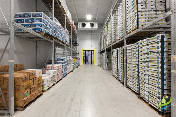 1000平方米冷庫工程造價(jià)預(yù)算深度解析