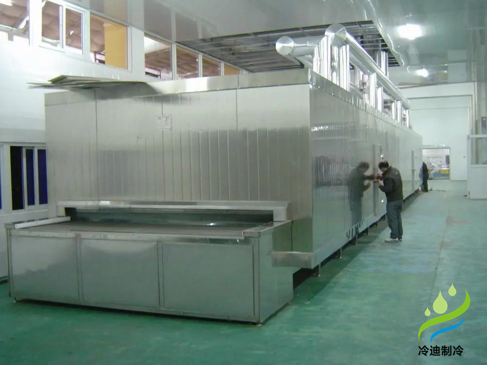 安裝一條速凍隧道大概需要花多少錢？