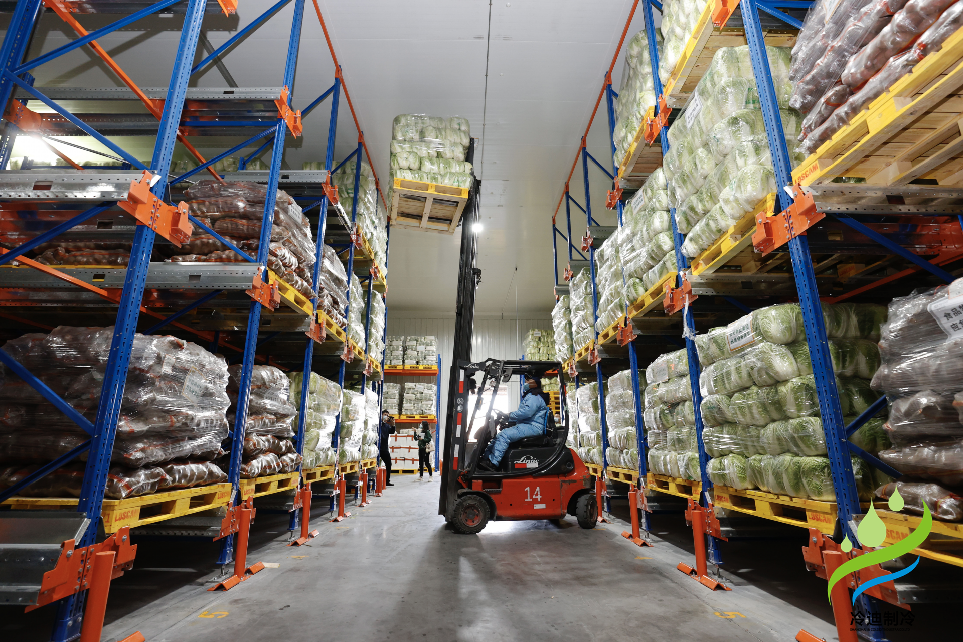 建造一個預冷冷庫需要多少錢？(圖2)