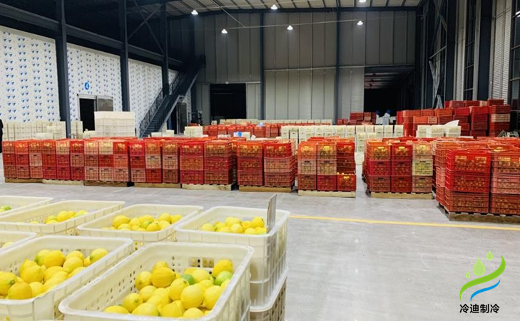 建造一個橙子冷庫需要多少錢？(圖1)