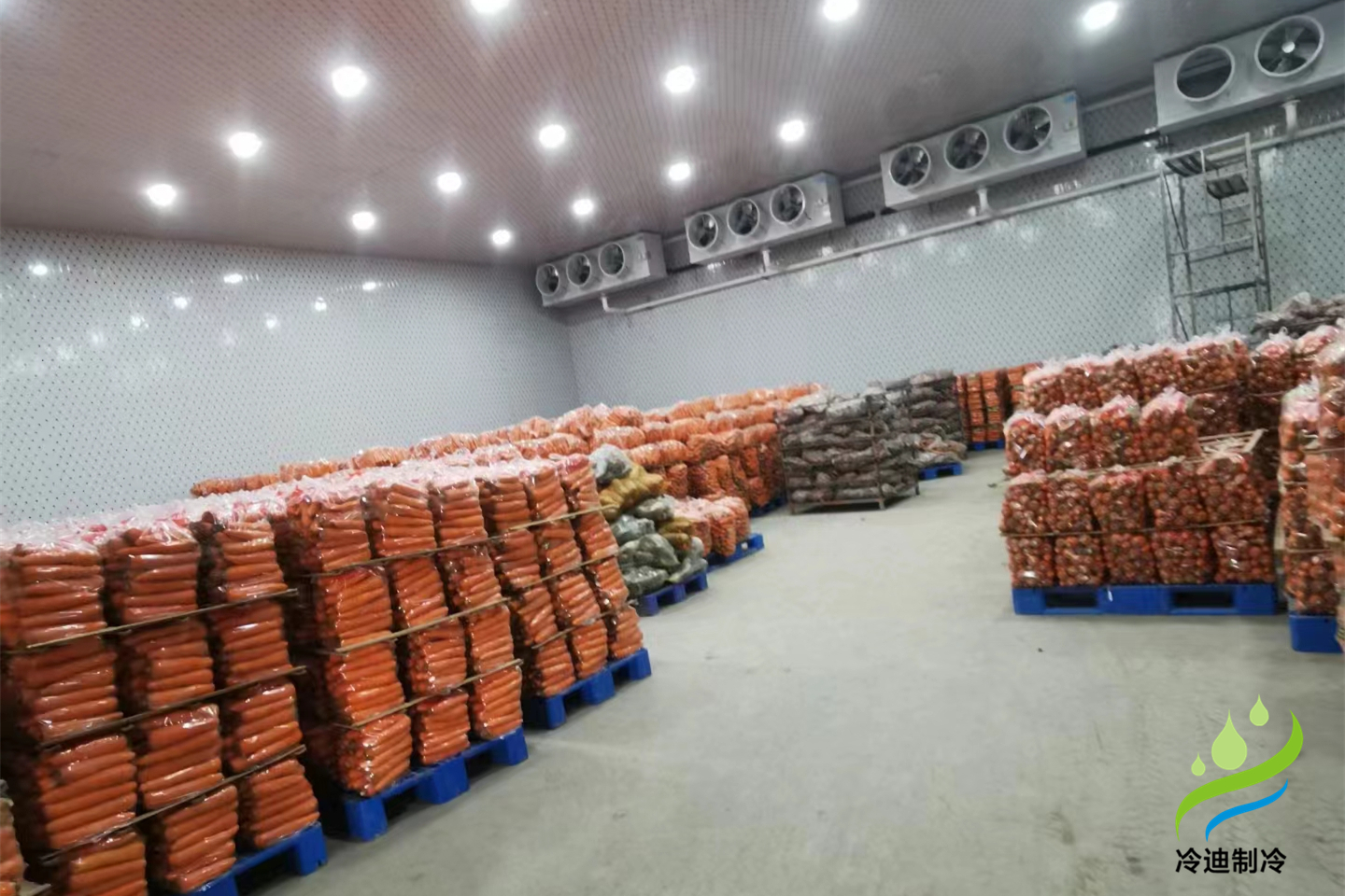 建造一個(gè)西瓜冷庫(kù)需要多少錢?(圖2)