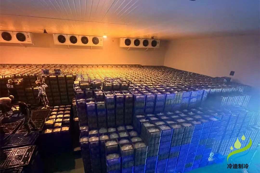 建設大型冷庫造價多少錢一平方米？